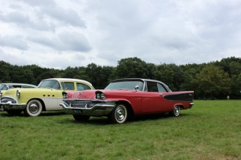 Oldtimerdag Lido Waalwijk 2014